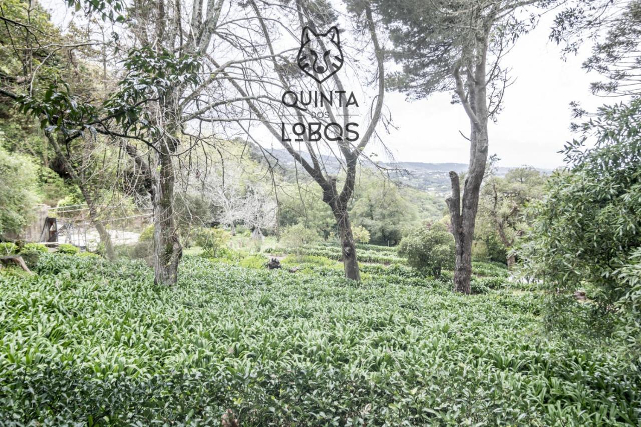 Quinta Dos Lobos Boutique Hotel - Nature Experience Sintra Exterior photo